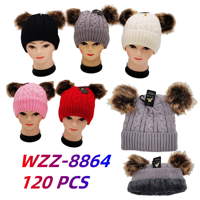WZZ-8864 CS120